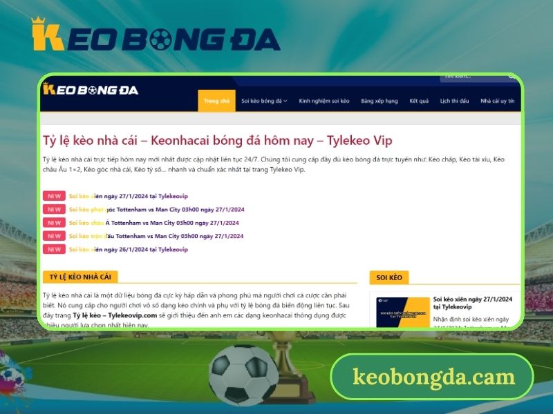 Trang web có giao diện đẹp, tốc độ nhanh