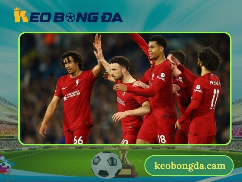 Trang tin cập nhật tỷ số bóng đá nhanh chóng, chính xác