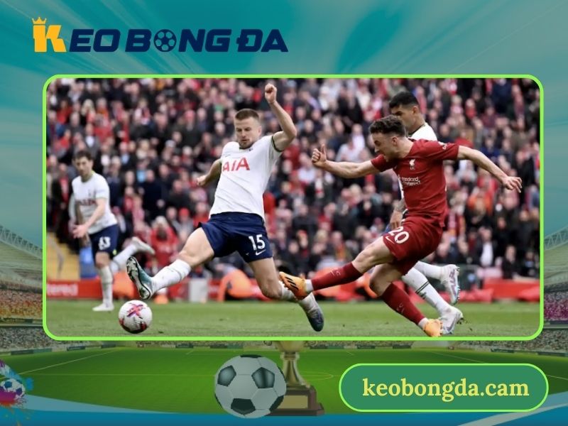 Xem kết quả thi đấu bóng đá hoàn toàn miễn phí