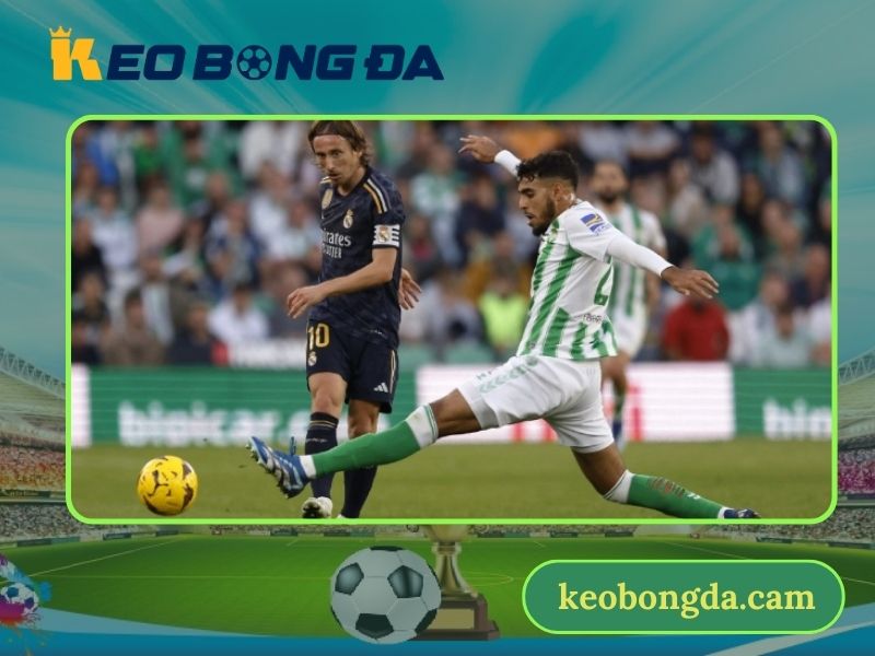 Chuẩn bị một thiết bị thông minh để xem kết quả bóng đá