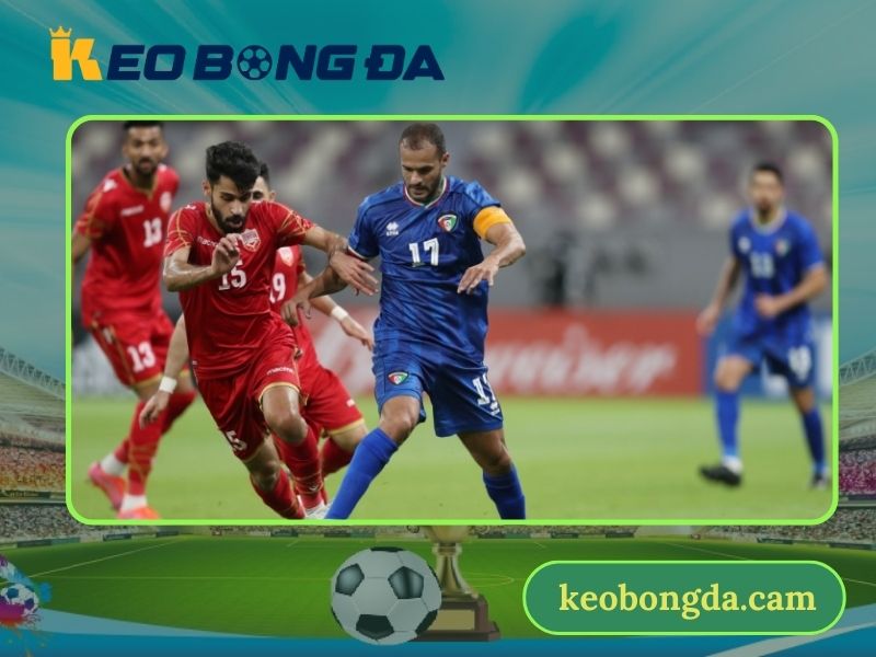 Rất nhiều giải bóng được cập nhật lịch đấu tại đây